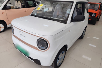 吉利银河 2024款 熊猫mini 200km 耐力熊