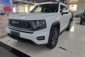 哈弗大狗 PLUS 2023款 2.0T 两驱潮野版Plus