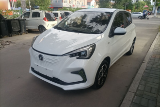长安 奔奔E-Star 2020款 心悦版 磷酸铁锂（31.18kWh）