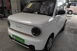 吉利银河 2024款 熊猫mini 200km 耐力熊