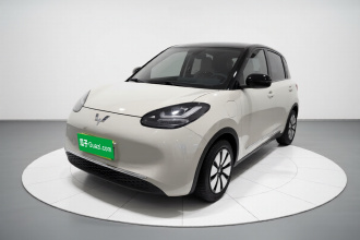 五菱汽车 五菱缤果 2023款 333km 快享款