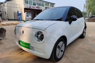 欧拉黑猫 2021款 301km 基础型
