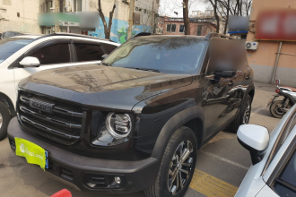 哈弗大狗 2021款 1.5T DCT两驱边牧-旺财版