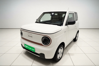 吉利银河 2024款 熊猫mini 200km 龙腾PRO版