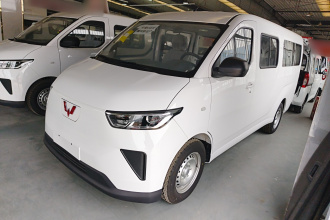 五菱汽车 五菱扬光 2024款 300KM 舒适型客车版 75kW