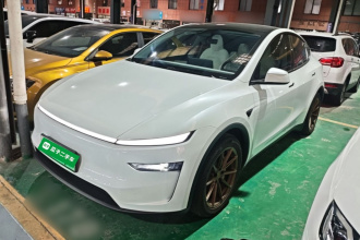 特斯拉 Model Y 2025款 长续航全轮驱动版