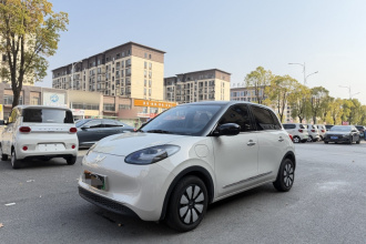 五菱汽车 五菱缤果 2024款 333km 悦享款