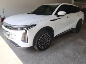 星途 瑶光C-DM 2024款 1.5T 长续航Pro