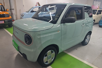 吉利银河 2023款 熊猫mini 200km 耐力熊