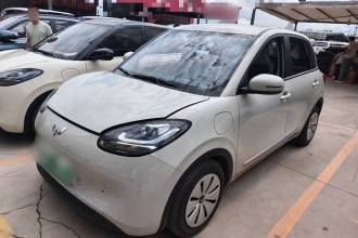 五菱汽车 五菱缤果 2023款 333km 快享款