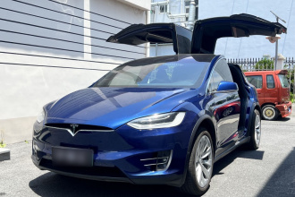 特斯拉 Model X 2019款 长续航版