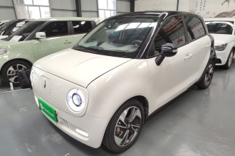 欧拉黑猫 2022款 351km 舒享型 磷酸铁锂