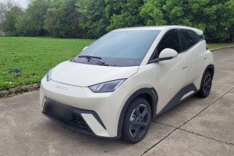 比亚迪 海鸥 2023款 自由版