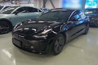 特斯拉 Model 3 2020款 标准续航后驱升级版