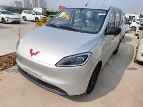 五菱汽车 五菱宏光新能源 2024款 纯电版 300KM 标准型