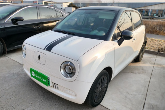 欧拉黑猫 2019款 301km 标准版