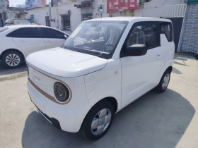 吉利银河 2024款 熊猫mini 200km 耐力熊