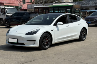 特斯拉 Model 3 2021款 标准续航后驱升级版
