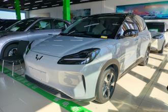 五菱汽车 五菱缤果PLUS 2024款 401km 旗舰版 四座版