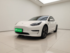 特斯拉 Model 3 2021款 标准续航后驱升级版 3D6