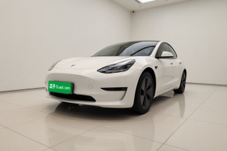 特斯拉 Model 3 2021款 标准续航后驱升级版 3D6