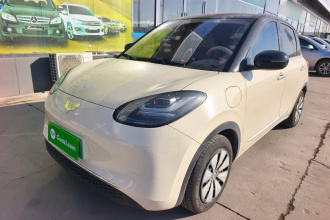 五菱汽车 五菱缤果 2025款 333km 悦享款