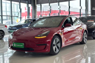 特斯拉 Model 3 2021款 标准续航后驱升级版 3D6