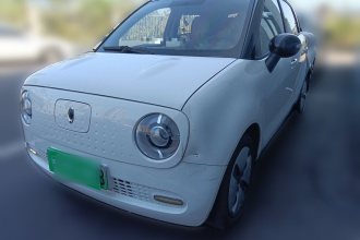 欧拉黑猫 2021款 301km 萌宠版