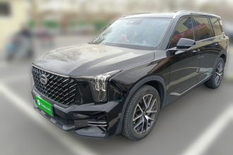 广汽传祺 传祺GS8 2022款 领航系列 2.0TGDI 两驱豪华智联版（七座）