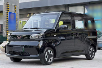 五菱汽车 五菱之光新能源 2025款 201km 标准型