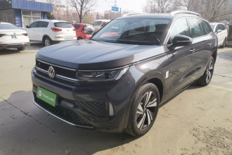 大众 揽巡 2024款 380TSI 四驱R-Line巡游 众享款