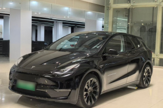 特斯拉 Model Y 2021款 标准续航后驱版