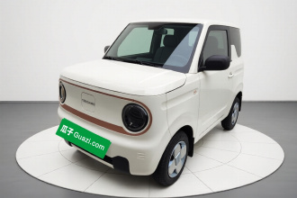 吉利银河 2024款 熊猫mini 200km 耐力熊