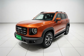 哈弗大狗 2021款 1.5T DCT两驱边牧版