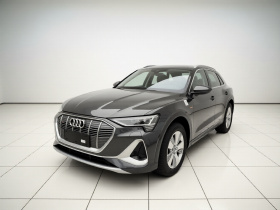 奥迪e-tron 2021款 50 quattro 豪华型