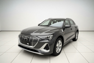 奥迪e-tron 2021款 50 quattro 豪华型