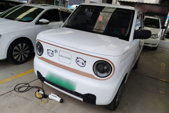 吉利银河 2024款 熊猫mini 200km 耐力熊