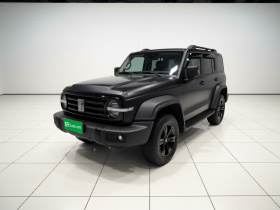 坦克300 2021款 越野版 2.0T 征服者