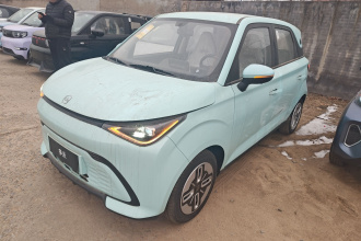 奇瑞 多米 2025款 405km 舒享型