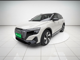 奥迪Q5 e-tron 2022款 40 e-tron 星耀型 机甲套装