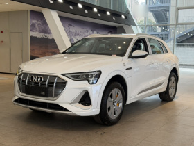 奥迪e-tron 2021款 50 quattro 豪华型