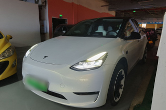 特斯拉 Model Y 2021款 长续航全轮驱动版 3D7