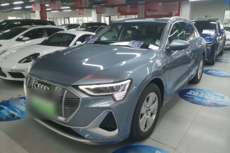 奥迪e-tron 2021款 50 quattro 豪华型