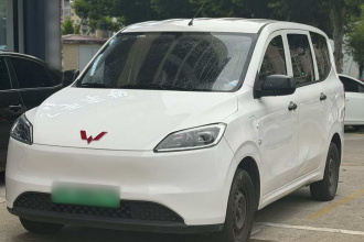 五菱汽车 五菱宏光新能源 2024款 纯电版 300KM 标准型