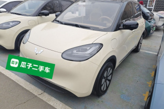 五菱汽车 五菱缤果 2025款 333km 灵犀尊享款