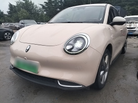 欧拉好猫 2021款 400km标准续航 雅典娜版 三元锂