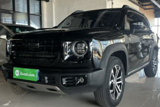 哈弗大狗 2022款 2.0T DCT两驱中华猎犬版