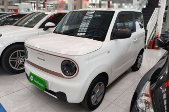 吉利银河 2023款 熊猫mini 200km 耐力熊