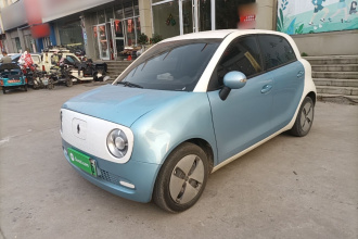 欧拉黑猫 2021款 301km 基础型