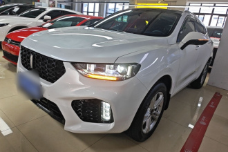 魏牌 VV5 2019款 1.5T 两驱颜先锋